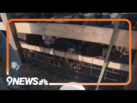 Boulder Community Food Share teaming up with local farm to cut back on food waste