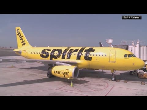 Spirit Airlines sounds the alarm on its future ability to stay in business