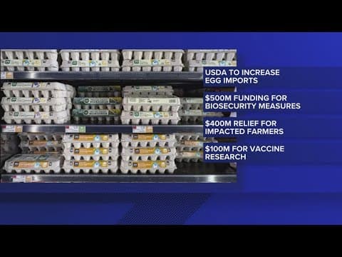 Egg prices could jump another 41% this year, USDA says, as Trump's bird flu plan unveiled