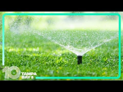 Tampa leaders consider permanent once-a-week watering restrictions
