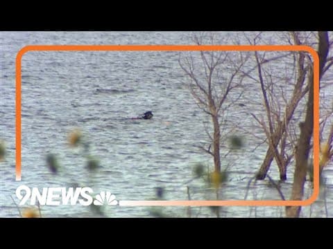 Man's body recovered from Chatfield Reservoir after search