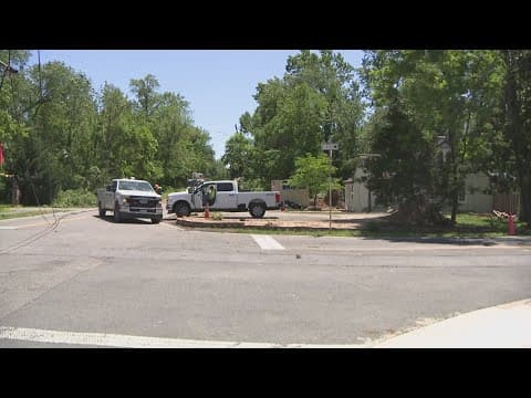 27-year-old woman dies after tree falls onto car in Woodlawn