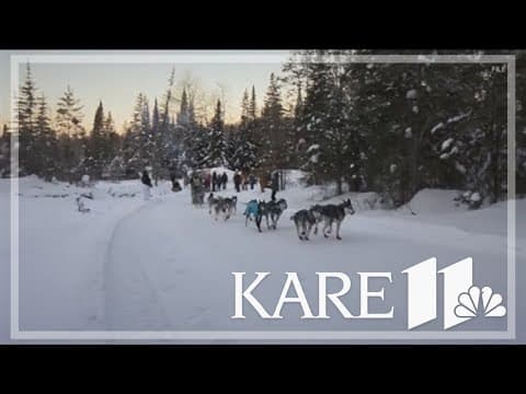 Winter is in full swing despite major sled dog races postponing events