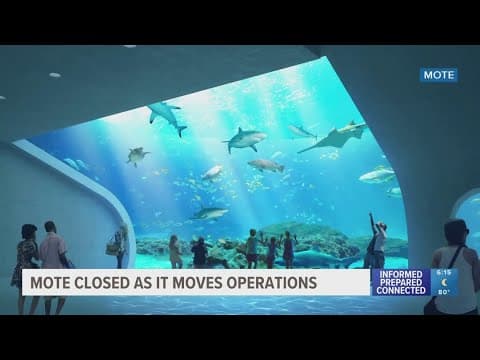 Mote Marine Laboratory and Aquarium closes its doors after 25 years; focus now shifted to Mote SEA
