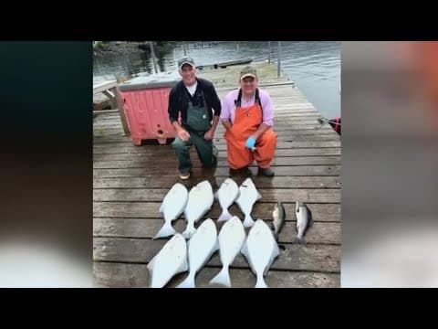 200 pounds of frozen fish lost on flight back from Alaska