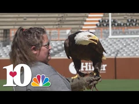 Bald Eagle from East Tennessee soaring into the NFL
