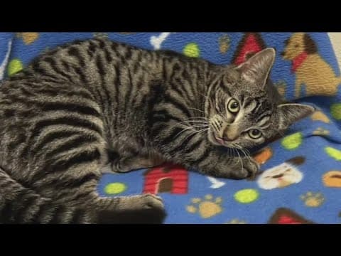 Your Good News: Celebrating family