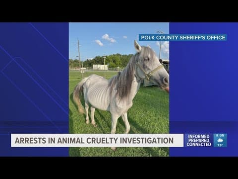 Several arrests made after animals found living in 'deplorable conditions' on Lake Wales property