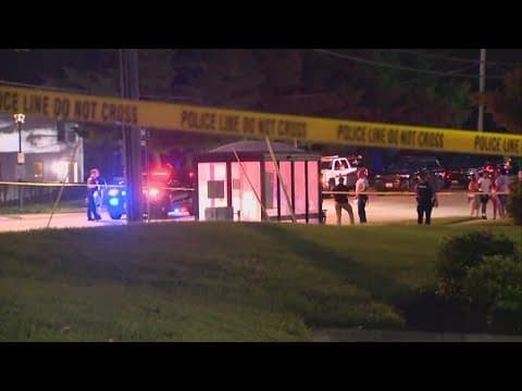 Officers shoot man who allegedly stabbed brother with double-edged spear