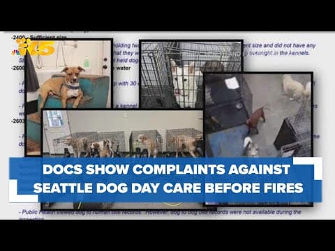 Records show a history of complaints against dog day care before facility fires
