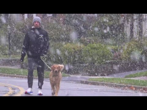 Season's first snow falls in the DMV