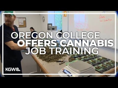 Cannabis job training comes to Columbia Gorge Community College