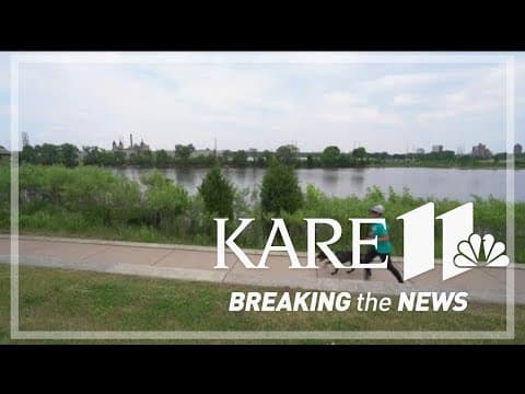 New dog running club taking the pound to the pavement