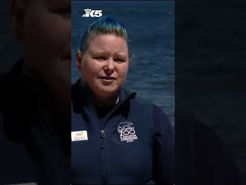 One of lowest tides of the year in western Washington on Thursday