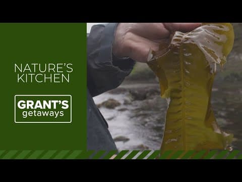 Oregon's woods and beaches hide a wealth of wild edibles