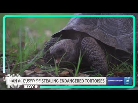 St. Pete police: Man accused of stealing tortoises, expensive books