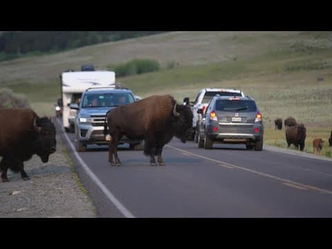 Budget cuts leave National Parks under strain