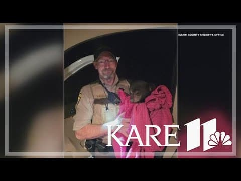 Deputy rescues bear cub from busy highway in Isanti County