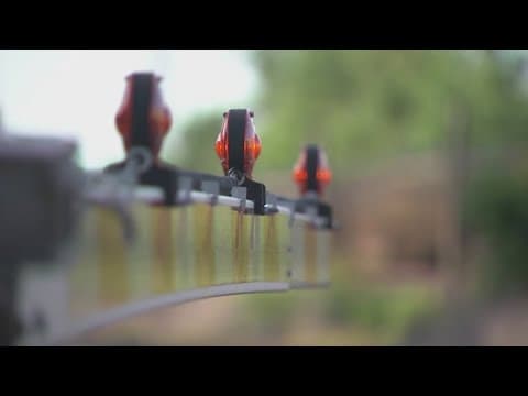 Car struck by train in Ohio after attempting to cross railroad tracks as gates were lowering