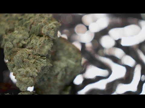 Texas Senate advances bill to ban THC — again