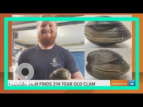 Florida man finds 214-year-old clam on beach