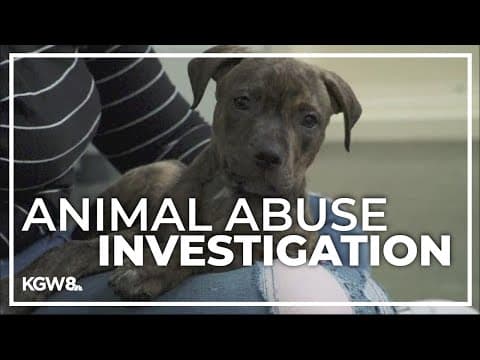 Animal Crimes Forensic Center called in after 18 frozen puppies found in Oregon