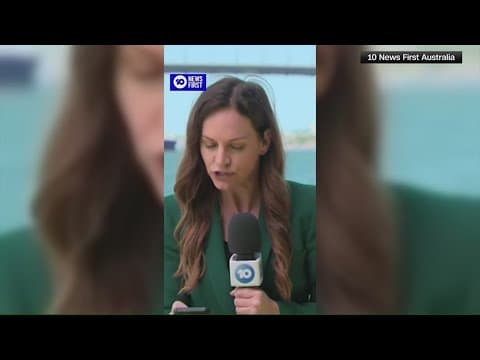 Australian reporter repeatedly dive-bombed by bird