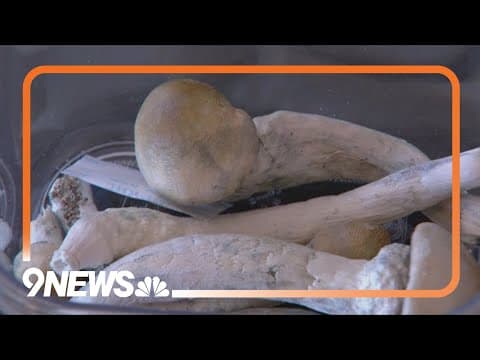 How close will psilocybin healing centers be to schools? Denver announces recommendations