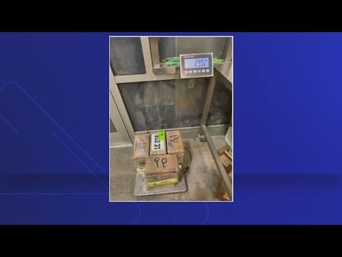 $880K of cocaine found in broccoli shipment at Texas-Mexico border