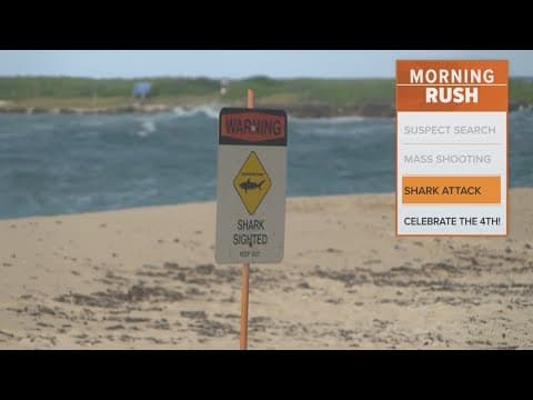 Shark attack kills famous surfer in Hawaii