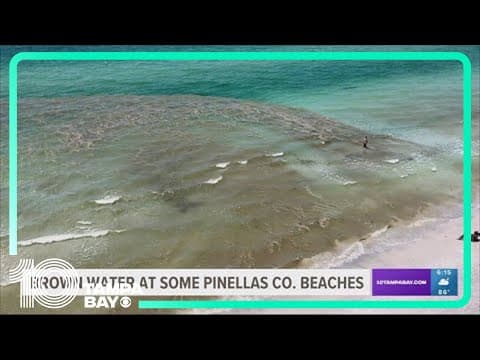Brown, discolored water spotted off Pinellas County beaches