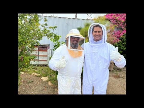 There's a lot of buzz at Beeside Balcony