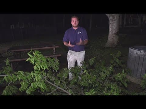 Texas storms: downed trees complicate cleanup following storms