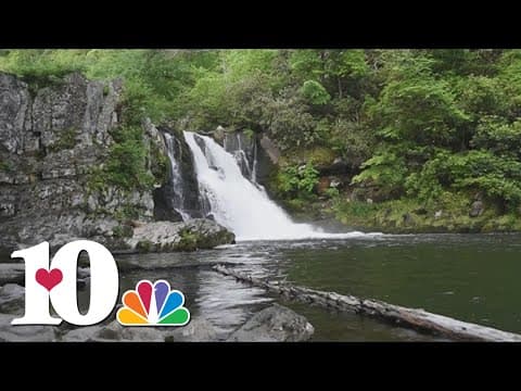 Hometown Spotlight: Townsend trails you can explore | 10Explores