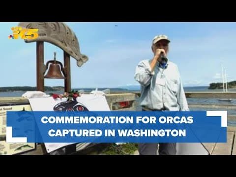 Orca Network commemorates orcas captured in Penn Cove in the '60s and '70s