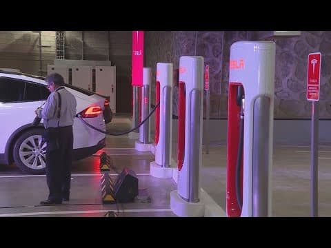 Tesla saw year-over-year profits drop this year