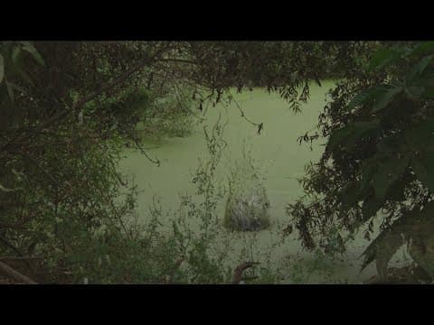 CDC conducts health assessments near Tijuana River Valley