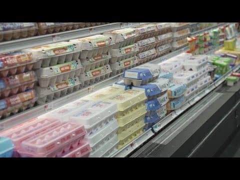 US turning to Turkey for egg imports