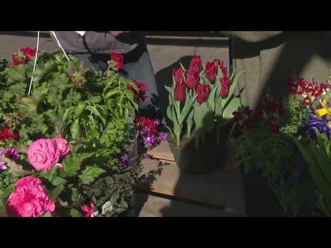 How to take care of your plants during a freeze warning