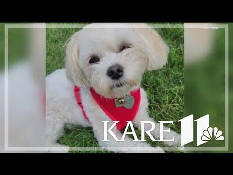 Violent dog attack in Burnsville park takes turn for the worst