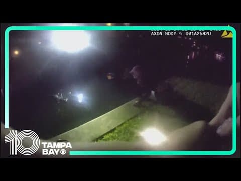 Clearwater dog rescued from canal at Island Estates