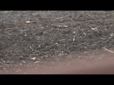 North Texas odor sparks concern over potential 'forever chemicals' in fertilizers