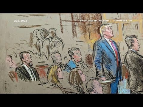 Trump says he did 'absolutely nothing wrong' following DC election fraud hearing