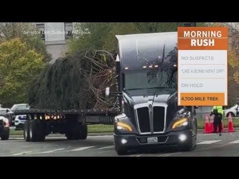 80-foot Christmas tree arrives in Washington DC