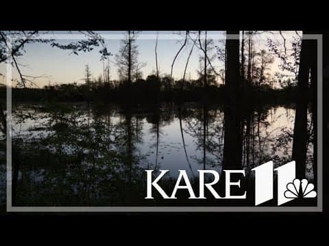 How animals and nature reacted to the solar eclipse