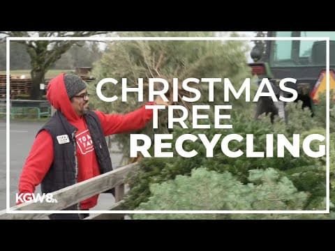 Oregon farm recycles Christmas trees through 'biochar'