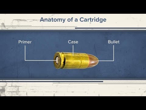 Jury hears testimony on bullet found by girls' bodies | Day 7 of Delphi murders trial