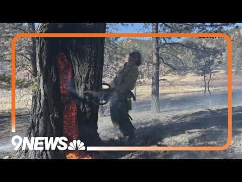 Conifer Fire, Colorado's newest fire department, faces first major test
