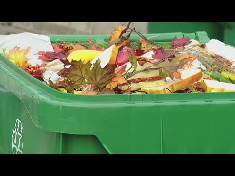 Flies, gnats, other insects inside green bins leave San Diegans frustrated