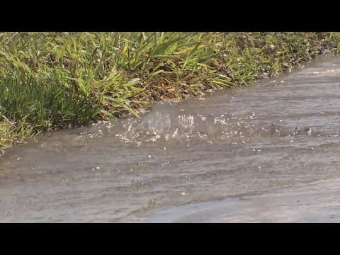 Houston Public Works water director goes before state committee in Austin